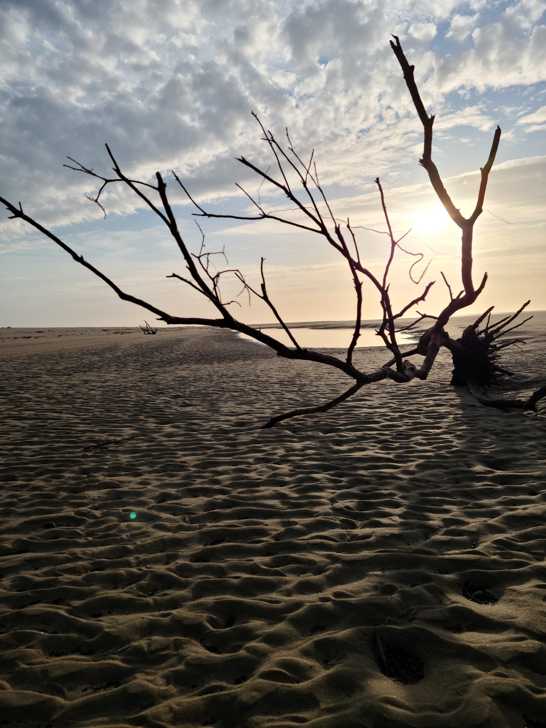 Plage océan