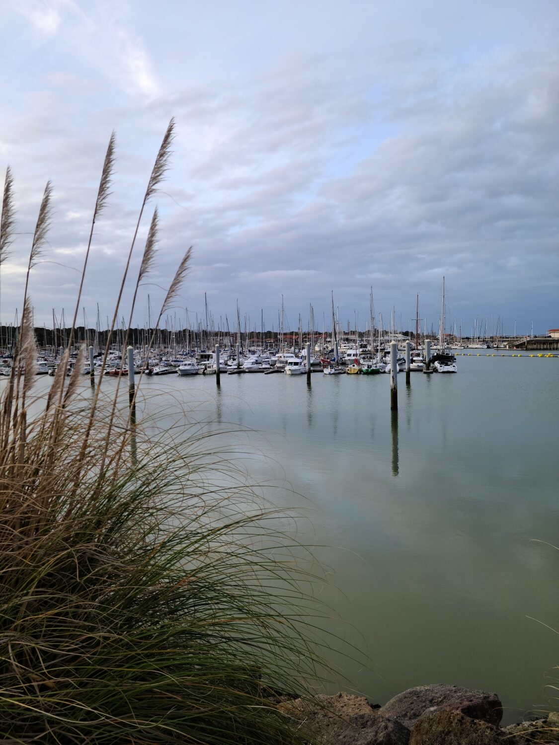 Port du Verdon sur Mer