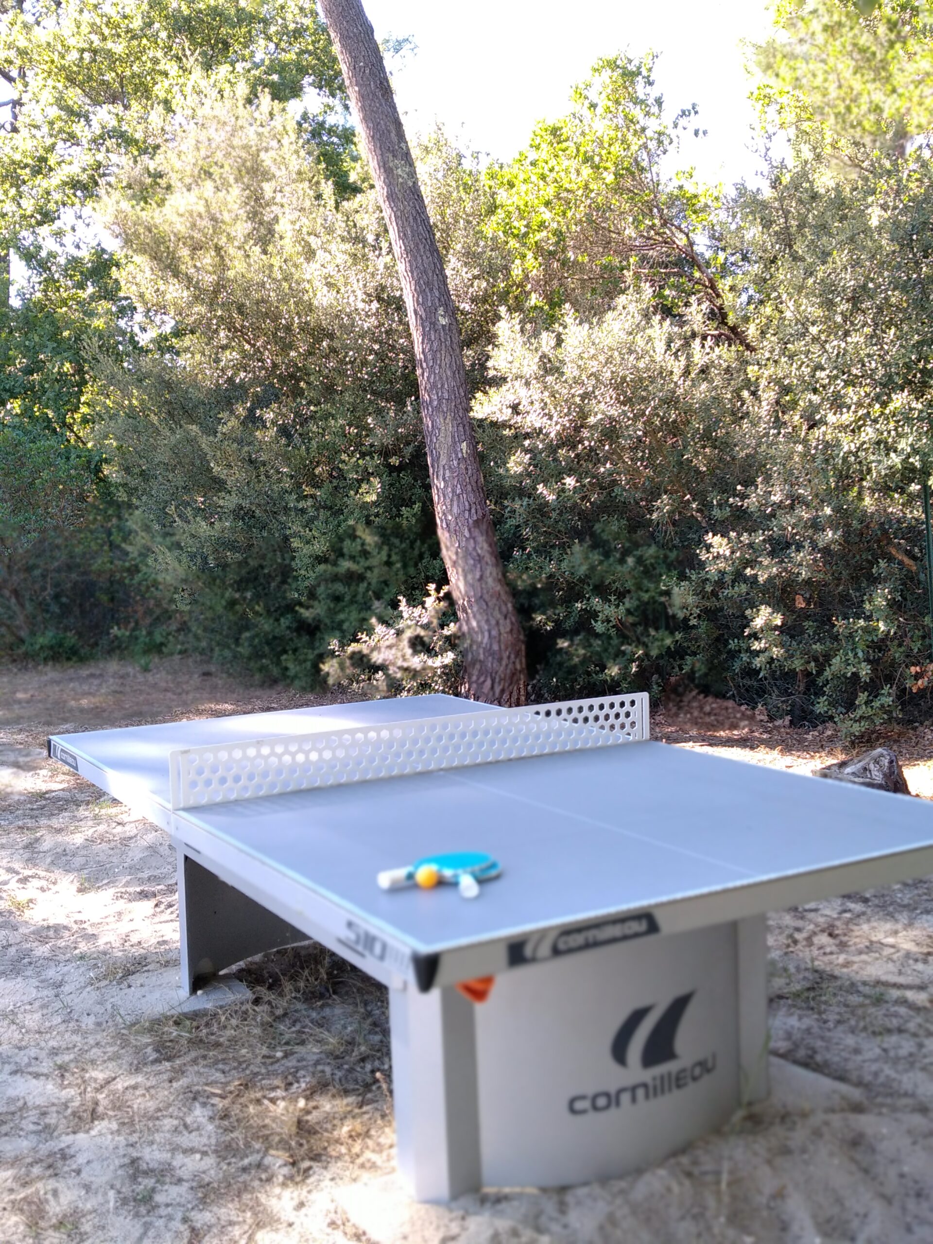 Espace loisirs extérieurs - aire de jeu pour les enfants.