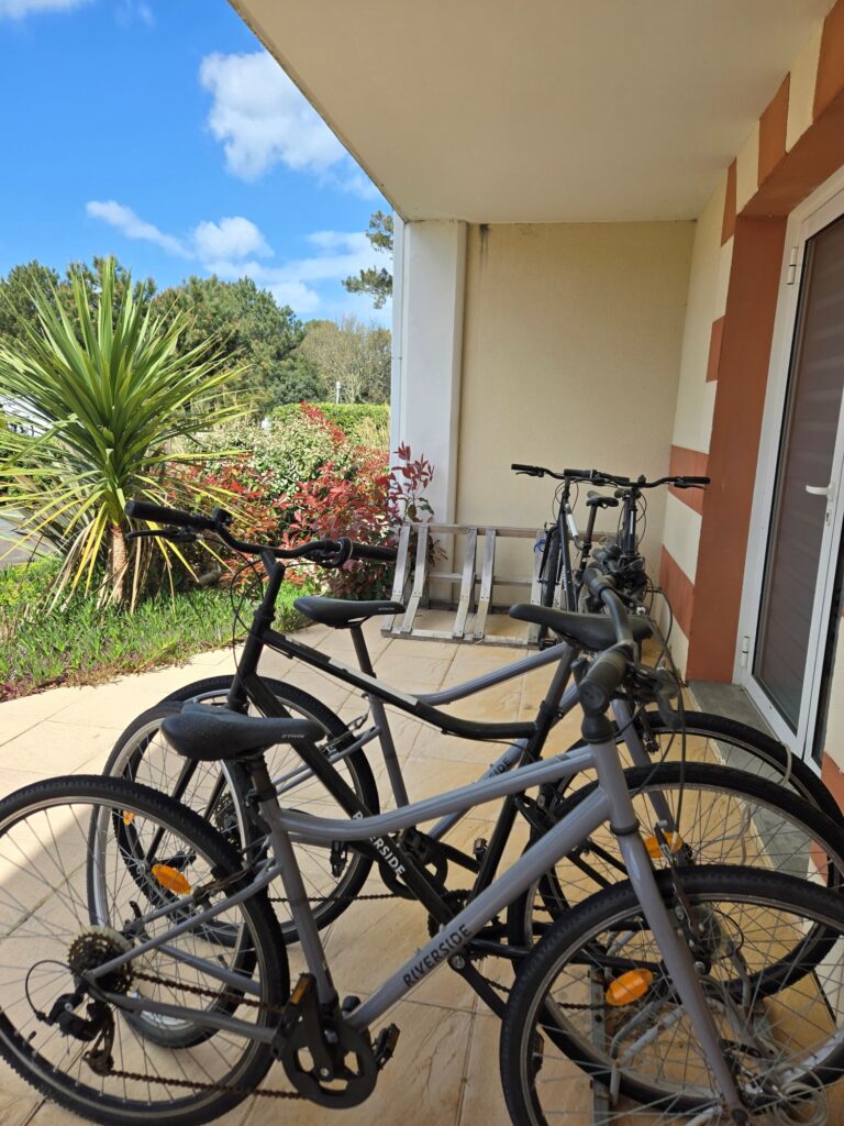 Service de vélo