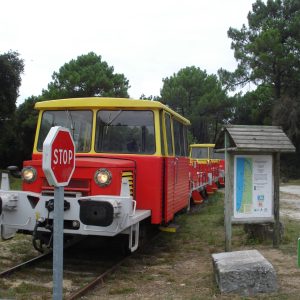 Train Touristique