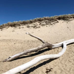 Plage océan