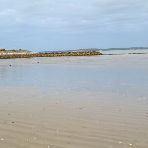 Plage de la Chambrette et cheminement pour une promenade jusqu'à Port Médoc