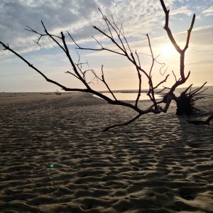 Ocean Beach – Atlantic coastline