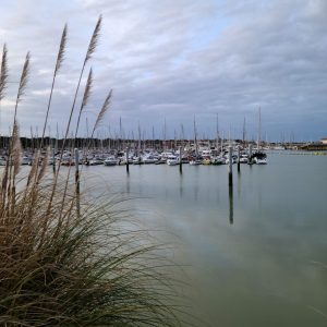 Port du Verdon sur Mer